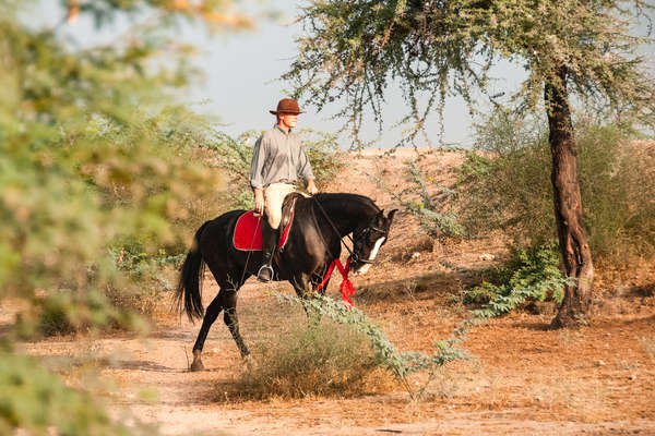 HOrseback rider riding in Rajasthan, India