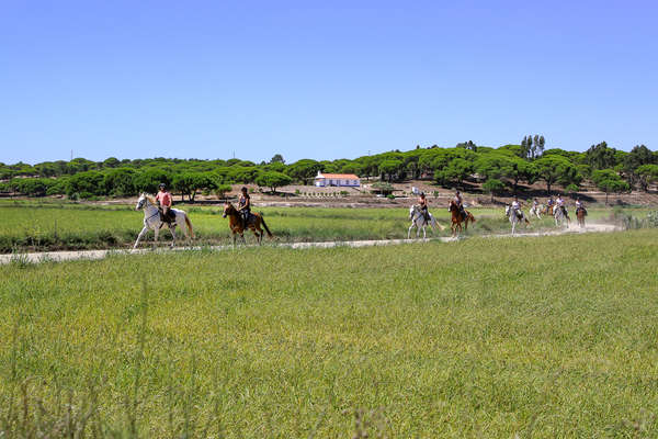 Horseback riders cantering down a sandy track in Portugal