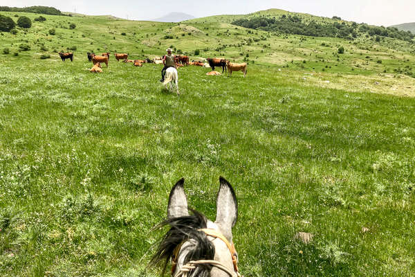 Horseback riders crossing a field in Sicily