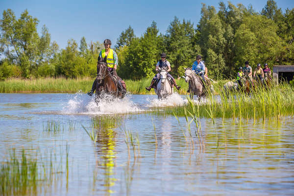 Horseback riders crossing a small pond on horseback in Poland