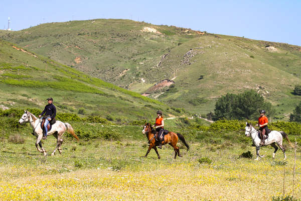 Horseback riders enjoying a canter in Albania, Gjirokastra