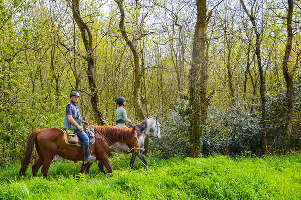 Horseback riders enjoying a trail ride in France