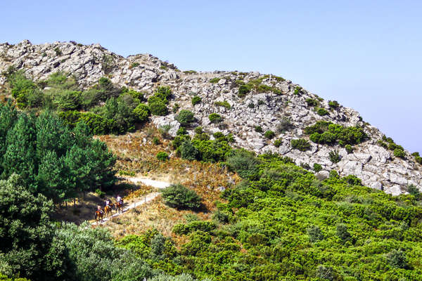 Horseback riders enjoying a trail ride in Sardinia, walking alongside a mountain path