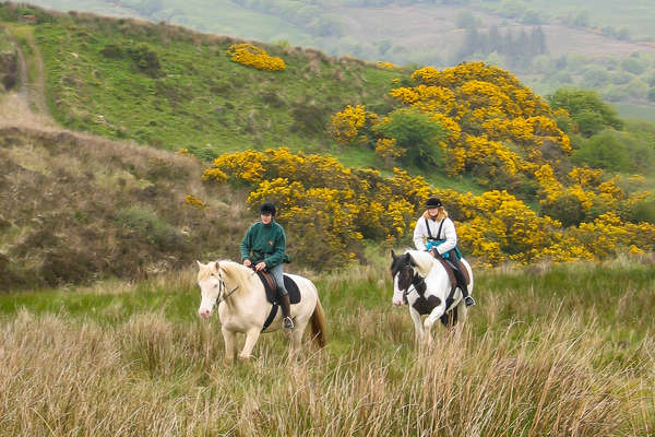 Horseback riders in Ireland