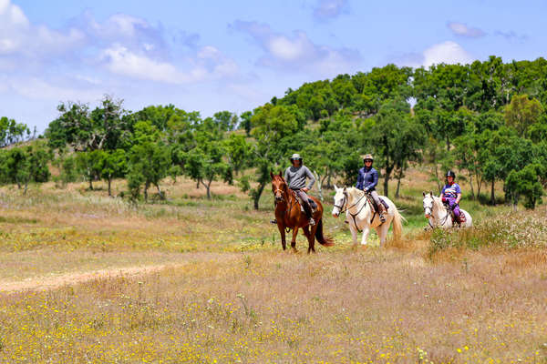 Horseback riders in the fields of the Alentejo