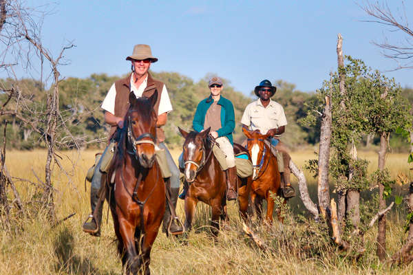 Horseback riders in the Okavango Delta near Maun in Botswana