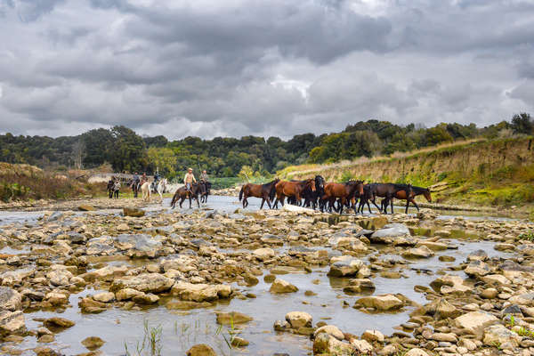 Horseback riders in Tuscany, Italy