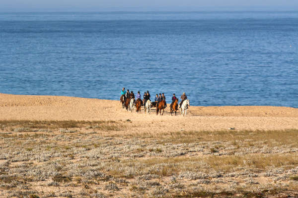 Horseback riders on a calm ride by the beach in the Alentejo