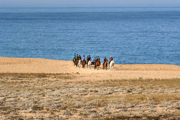 Horseback riders on a calm ride by the beach in the Alentejo