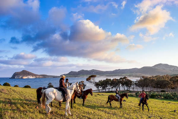 Horseback riders on a sunset trail ride