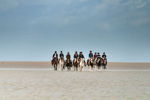 Horseback riders on a trail ride in Normandy