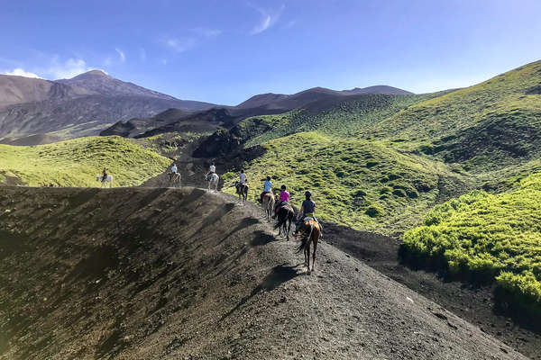 Horseback riders on a trail ride to Mount Etna