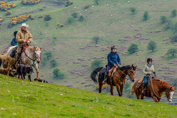 Horseback riders on holiday in the UK