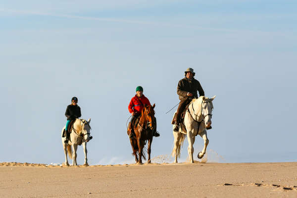 Horseback riders on the beach in Portugal