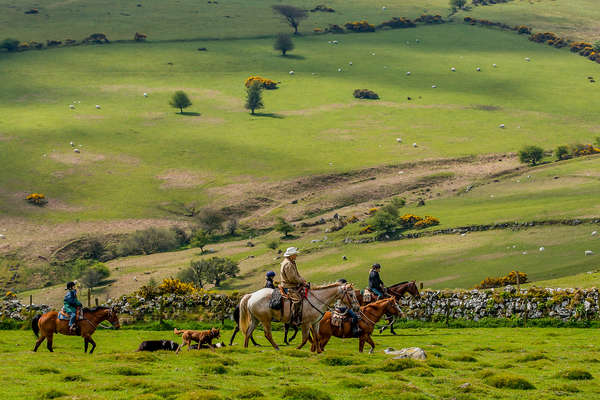 Horseback riders riding in Dartmoor, Devon, England