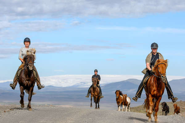 Horseback riders riding with loose Icelandic horses in Iceland on Kjolur trail