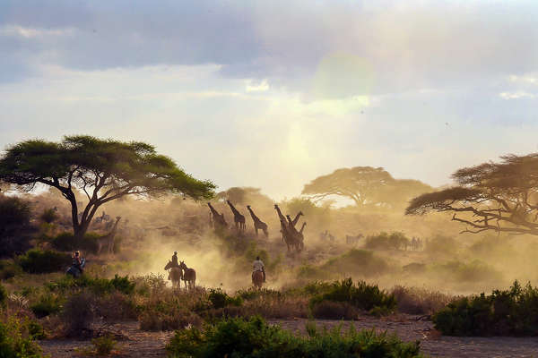 Horseback riders watching giraffe on safari