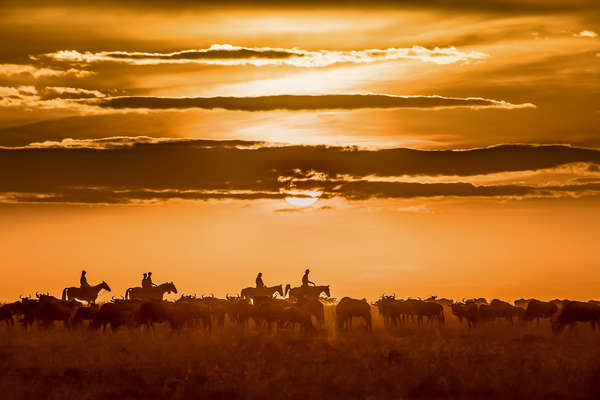 Horseback riding at sunset in Kenya