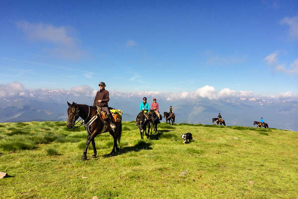 Horseback riding expedition in the Pyrenees