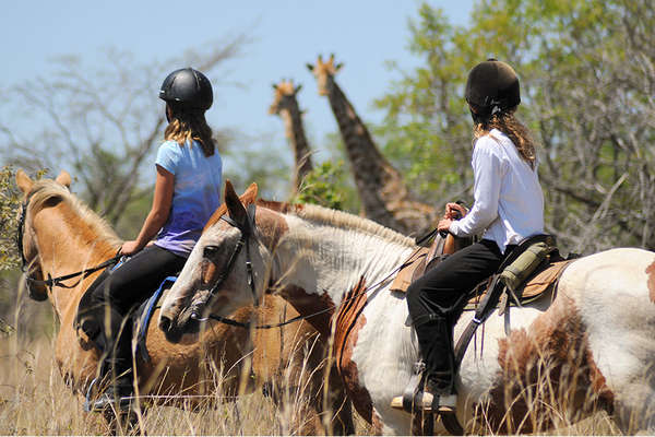 horseback riding in South Africa