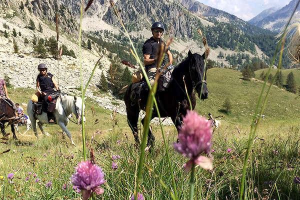 Horseback riding in the Alps