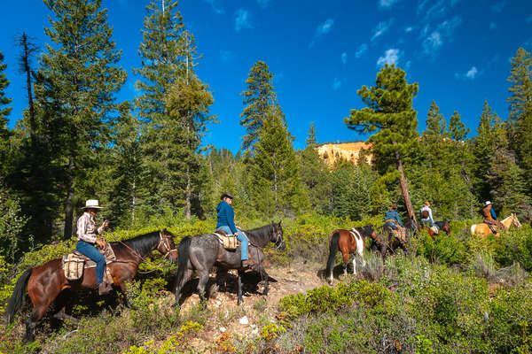 Horseback riding in Wild West America