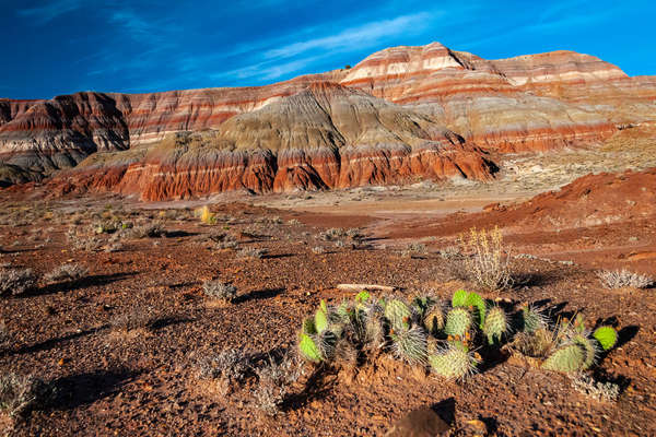 Horseback riding through Arizona and Utah