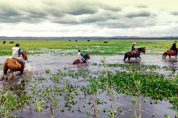 Horseback riding through wetlands in Uruguay