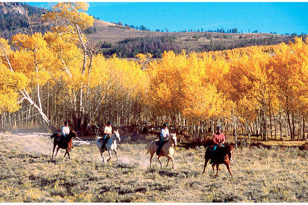 Horseback riding trails and ranch stay in Wyoming USA 