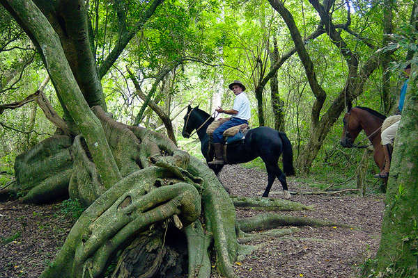 Horseback riding trails in Uruguay