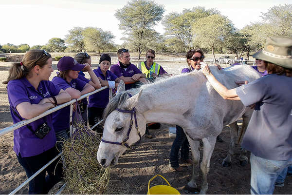 Horseback safari and endurance in Namibia