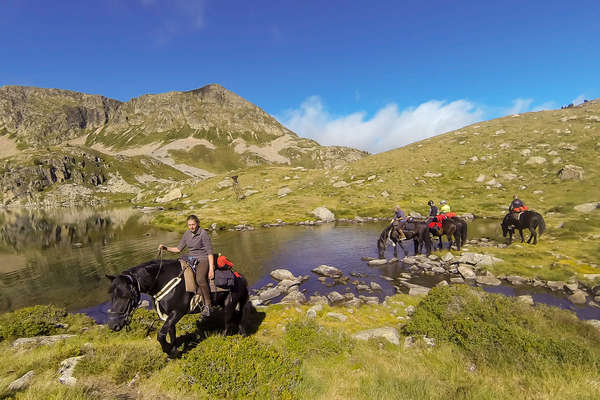 Horseback trail and riders in the French Pyrenees