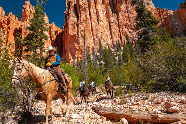 Horseback trail between Utah and Arizona