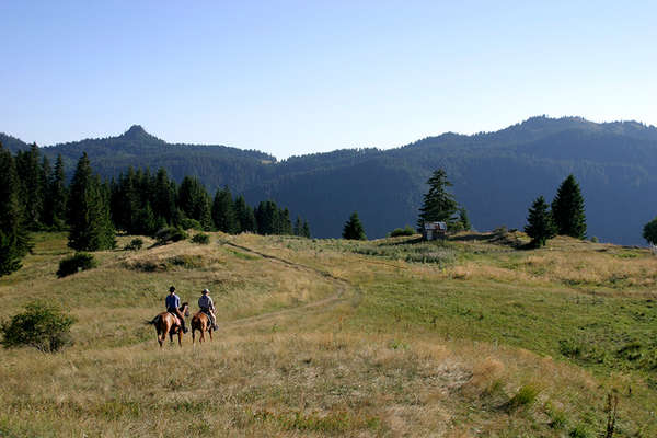 Horseback trail in Bulgaria