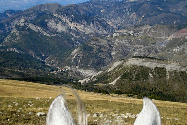 Horseback trail in Haute Provence, France