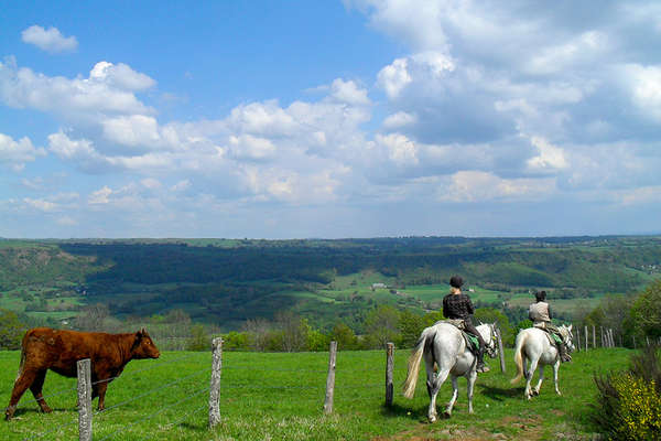 Horseback trail ride in Auvergne, france
