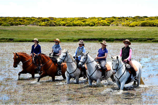 Horseback trails in the Gredos Mountains Spain