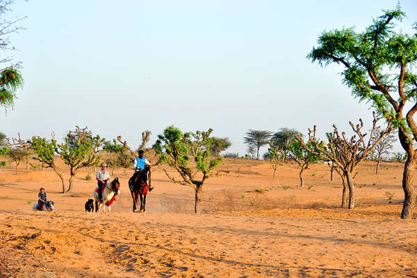 Horseback trails through Shekawati India