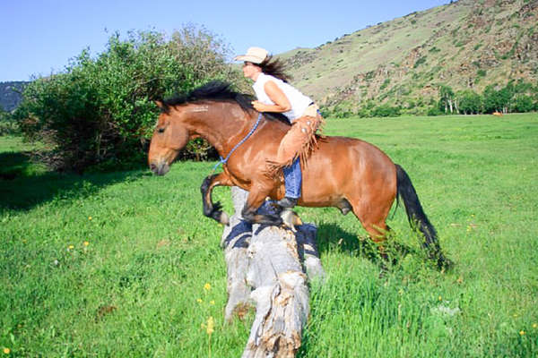 Horsemanship guest ranch 