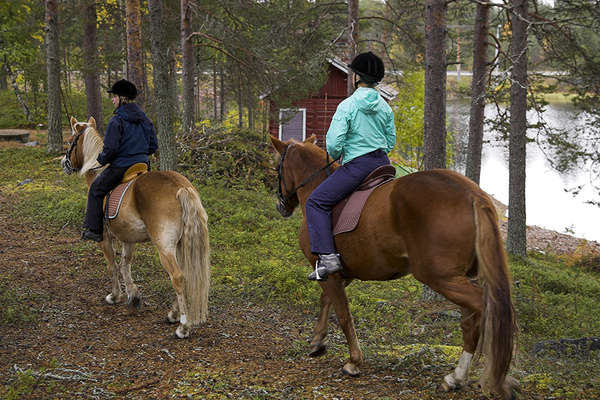 Horseriding holiday in Lapland in summer