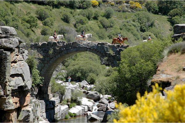 Horseriding in Spain