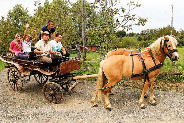 Horseriding trail in Croatia