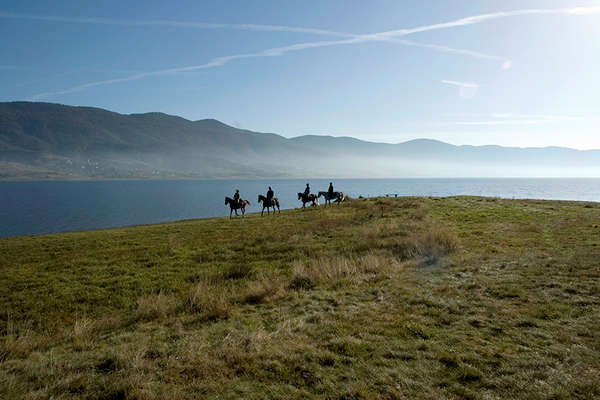 Horses and lake in Bulgaria