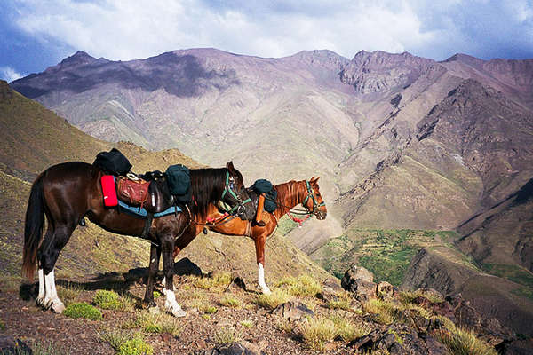 Horses and pack horses in Morocco, Atlas 