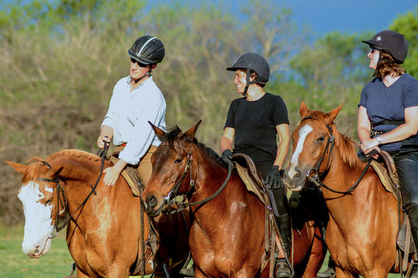 Horses and riders at Horizon