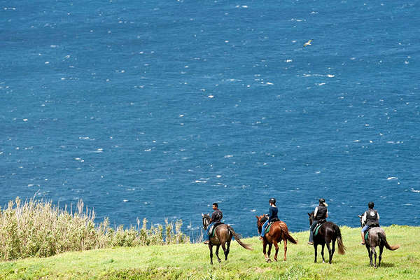 Horses and riders in Azores