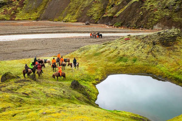 Horses and riders on a break during the sheep round up