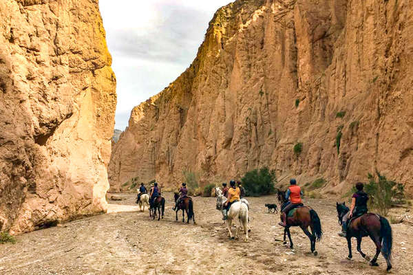 Horses and riders trail riding across Spain