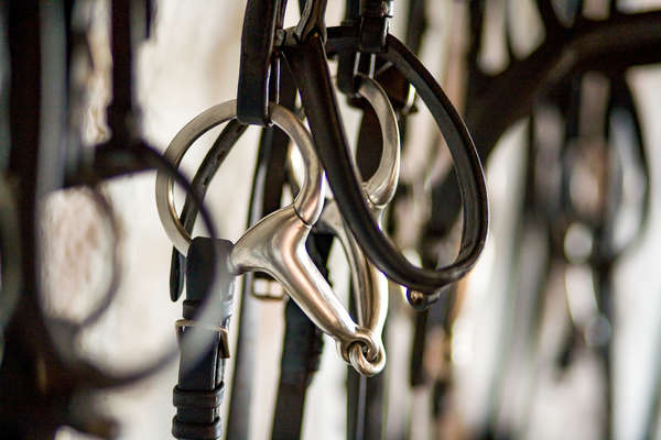 Horse's english tack