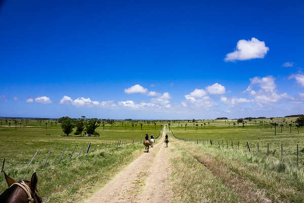 Horses riding in the vast open plains